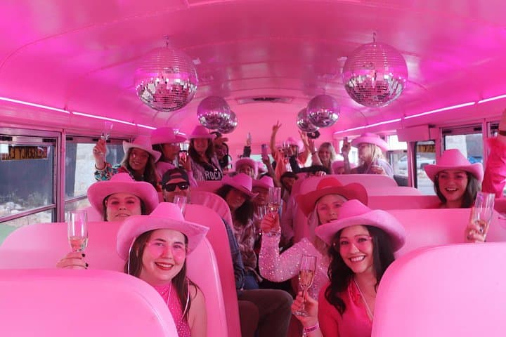 Fredericksburg Night Bus: Bubbly Bar-Hop & Karaoke on a Half-Day Tour photo 1
