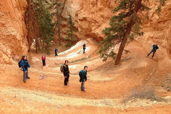 Day Tour from Las Vegas: Bryce Canyon & Zion National Park Highlights photo 2