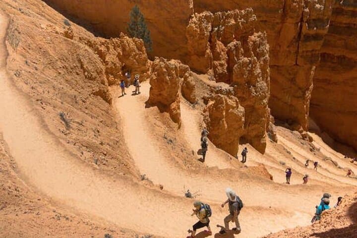 Day Tour from Las Vegas: Bryce Canyon & Zion National Park Highlights photo 3