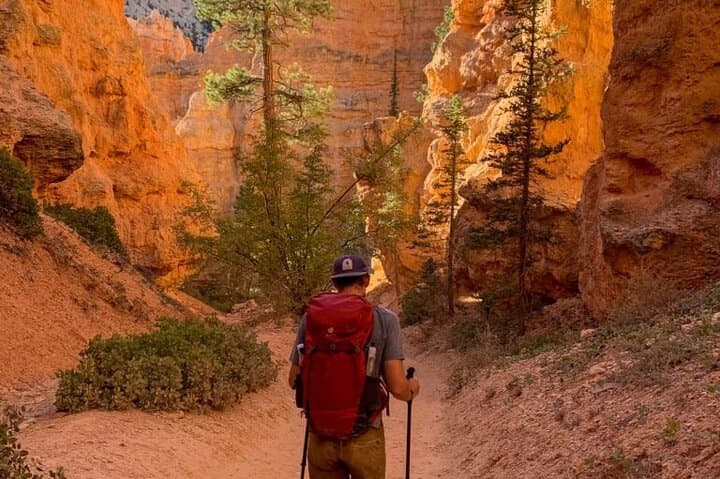 Day Tour from Las Vegas: Bryce Canyon & Zion National Park Highlights photo 4