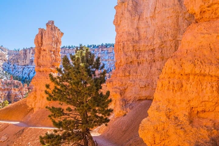 Day Tour from Las Vegas: Bryce Canyon & Zion National Park Highlights photo 5