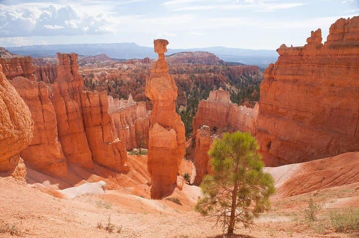 Day Tour from Las Vegas: Bryce Canyon & Zion National Park Highlights photo 6