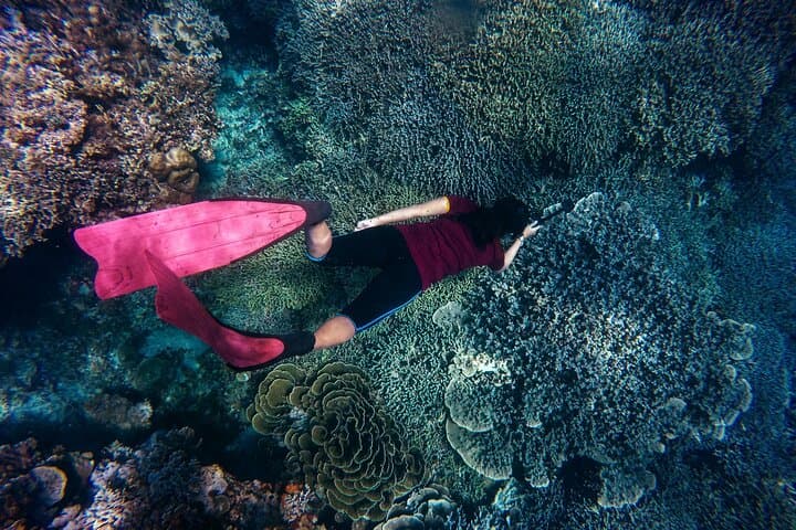 Private Blue Lagoon Snorkeling Tour — Padangbai’s Underwater Paradise photo 2