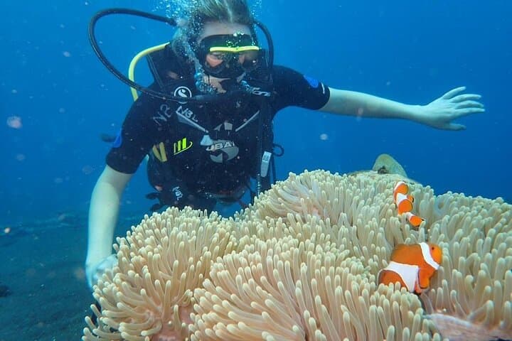 Tulamben Three-Dive Private: Liberty Wreck, Coral Garden & Drop-Off