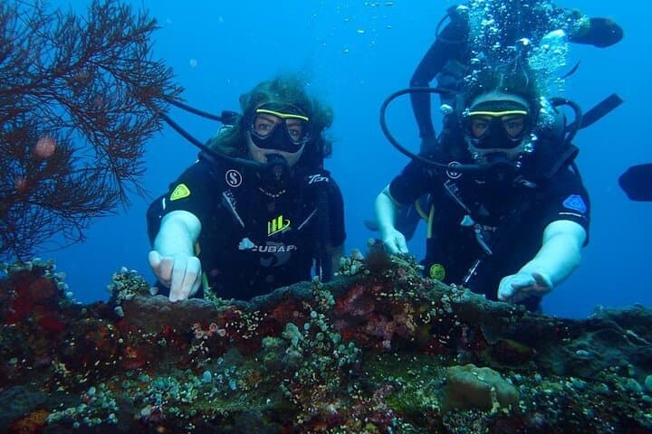 Tulamben Three-Dive Private: Liberty Wreck, Coral Garden & Drop-Off photo 3