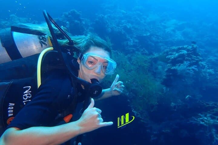 Tulamben Three-Dive Private: Liberty Wreck, Coral Garden & Drop-Off photo 4