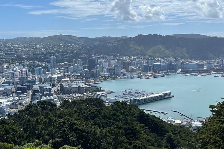 Wellington Full-Day Private Tesla SUV Tour — Sustainable City Highlights