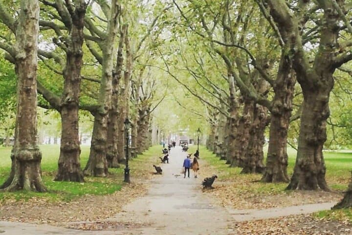 Early-Morning Westminster Walking Tour — London Without the Crowds photo 5