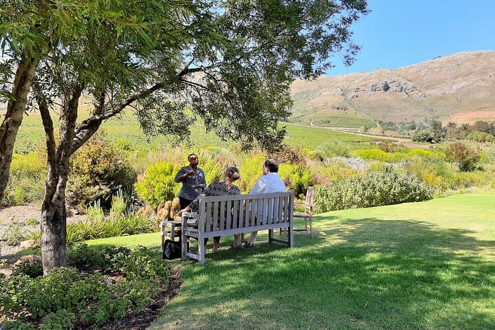 Private Stellenbosch & Franschhoek Wine Tour from Cape Town — Full-Day Winelands Experience photo 1
