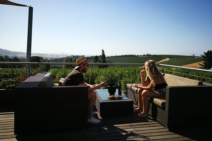 Meet the Winemaker: Private Cape Winelands Tour from Cape Town