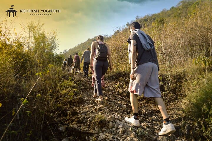 21-Day Rishikesh Yoga Teacher Training: Full-Time Ashram Course on the Ganges photo 4