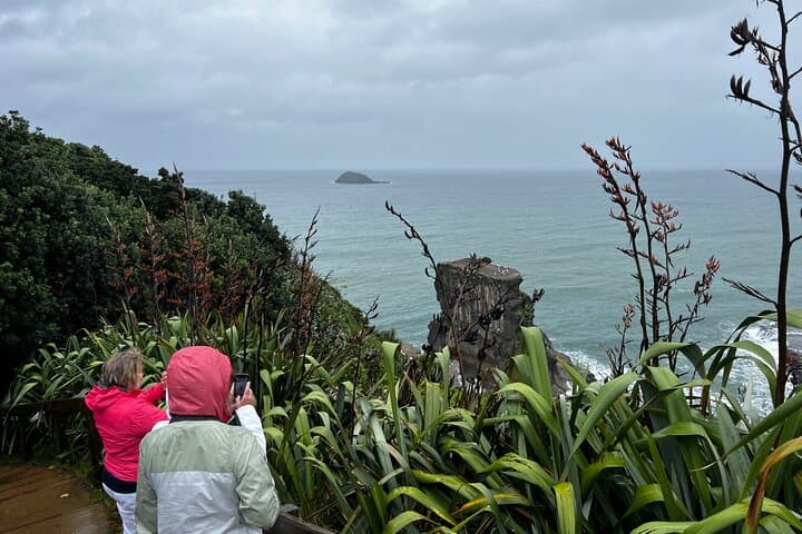 Auckland to the Wild West: Black-Sand Beaches, Gannets & Waitākere Ranges Full-Day Tour photo 4
