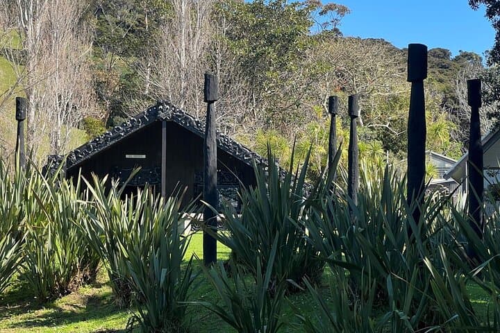 Waiheke Island Private History and Heritage Tour — Māori Cultural Walk & Scenic Bays photo 3