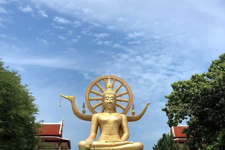 Koh Samui Jungle Discovery Tour: Big Buddha, Magic Garden & Namuang Waterfall photo 4