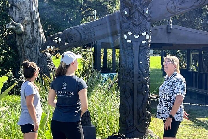 Waiheke Island History & Heritage Tour: Māori Culture, Beaches and Pa Sites