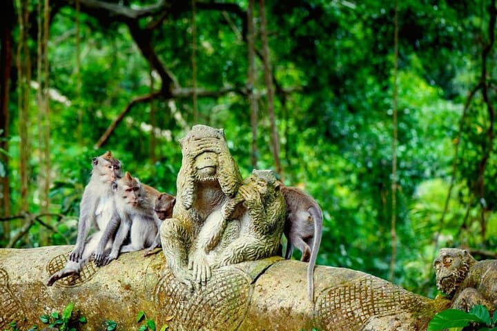 All-Inclusive Ubud Day Tour: Monkey Forest, Tegalalang & Tegenungan Waterfall photo 2