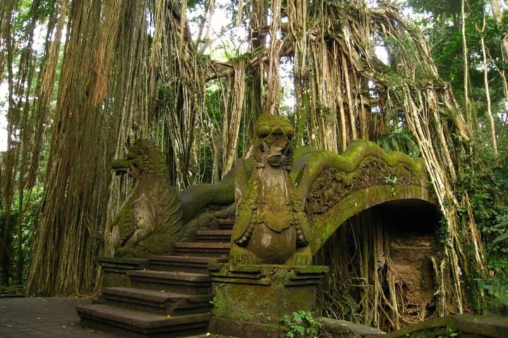 All-Inclusive Ubud Day Tour: Monkey Forest, Tegalalang & Tegenungan Waterfall photo 5