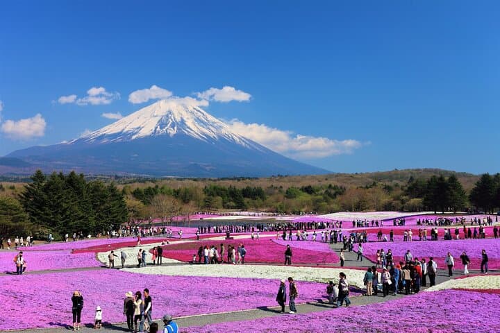 Mt Fuji and Hakone Full-Day Private Tour from Tokyo — Customizable Private Car Experience