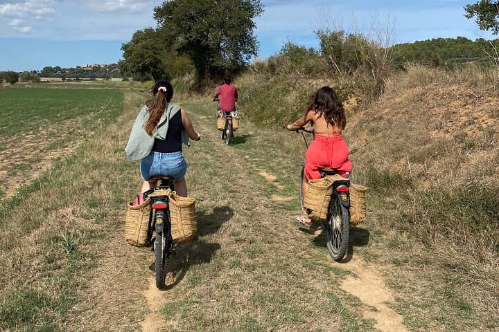 Costa Brava E‑Bike Day Trip from Barcelona: Medieval Villages and Calella de Palafrugell photo 5