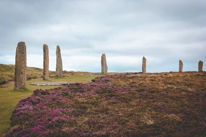 Orkney Mainland Private Tour: Neolithic Sites, Coastal Wildlife & Renewable Energy photo 2