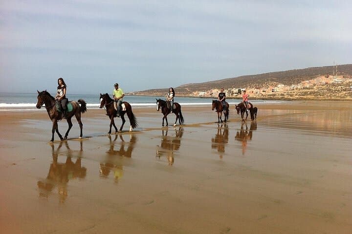 Horse Riding Agadir: Eucalyptus Forest & Souss-Massa River Ride photo 6