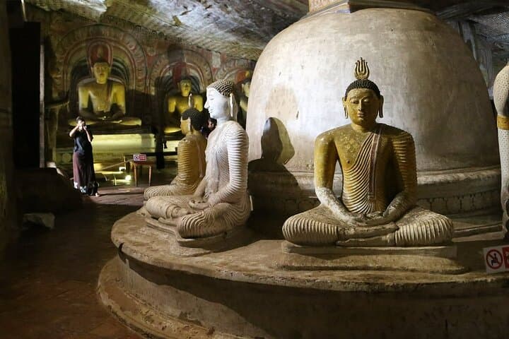Dambulla and Polonnaruwa Day Tour from Habarana — Golden Temple to Ancient City