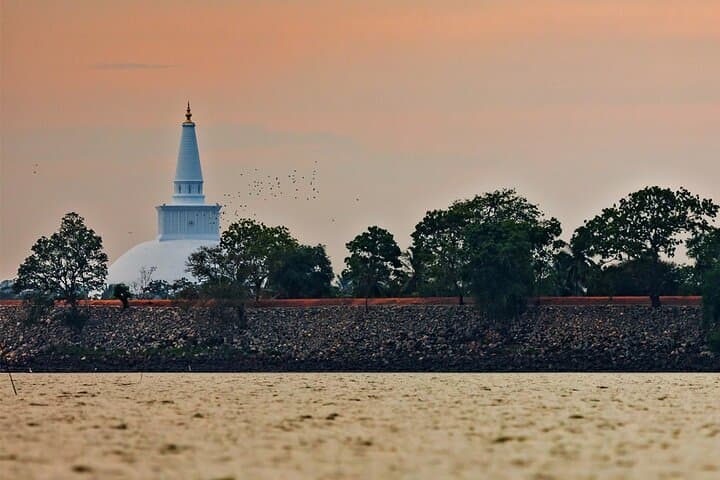 Aukana & Anuradhapura Day Tour from Polonnaruwa: Ancient Stupas, Standing Buddha, and Sacred Fig Trees photo 1