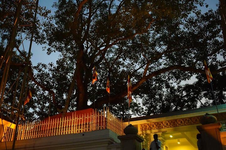 Aukana & Anuradhapura Ancient City Day Tour from Negombo photo 2