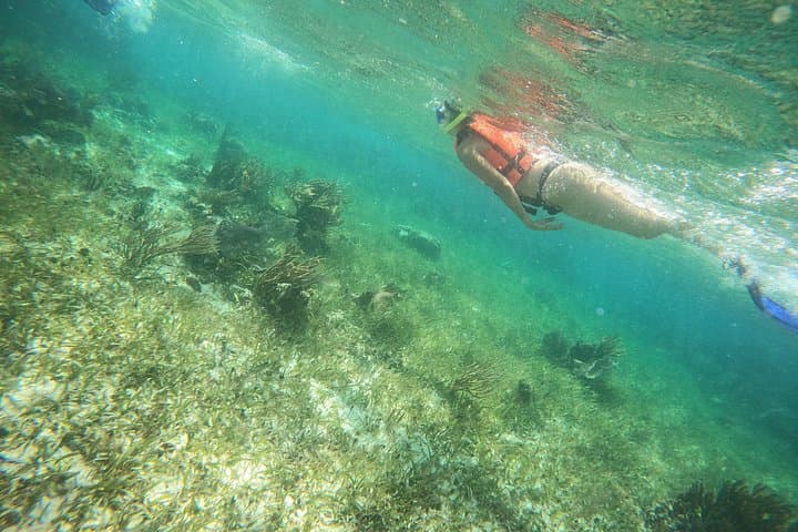 Puerto Morelos Reef Snorkel, ATV & Zipline Day Trip with Cenote Swim photo 5