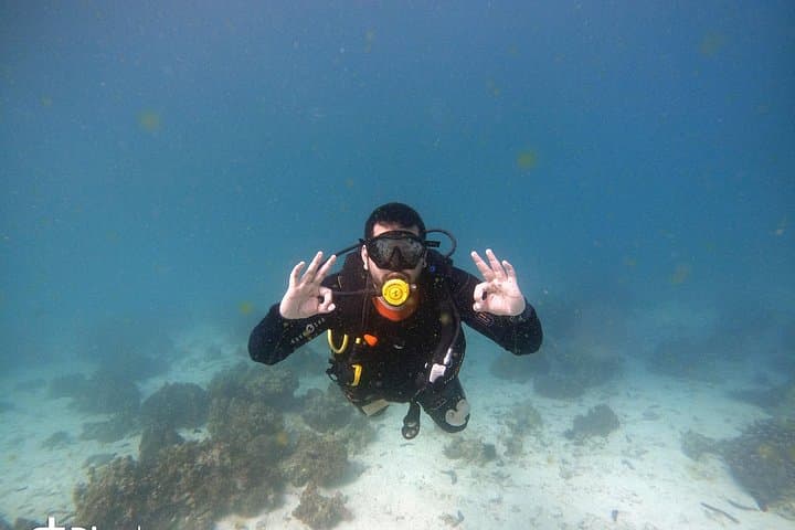 Day Trips to Daymaniyat Islands: Scuba Diving & Snorkeling from Muscat photo 3