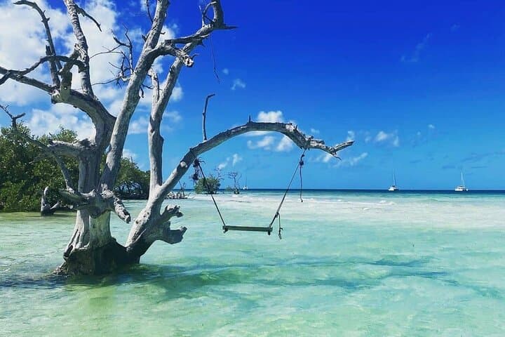 Private Sandbar Charter: Sandbar & Island Escape in Key West photo 2
