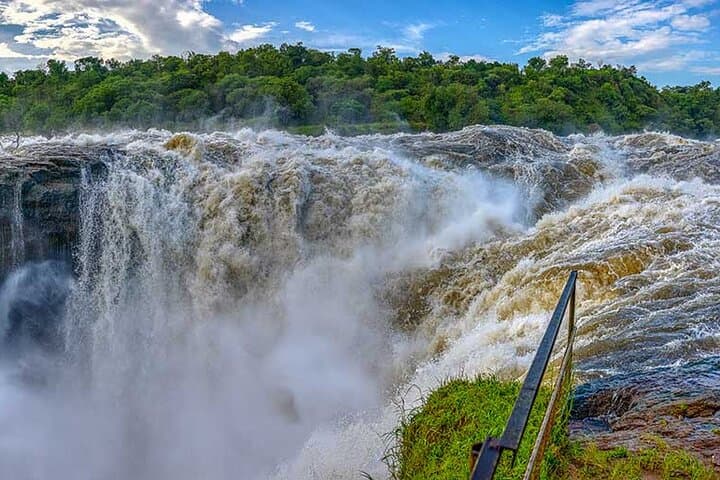 3-Day Private Safari to Murchison Falls National Park — Game Drives, Boat Cruise & Wildlife Viewing photo 6