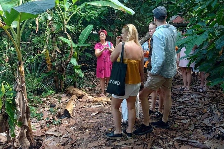 Half-Day Puerto Plata Cultural Tour: Cable Car, Fort & Local Market photo 4