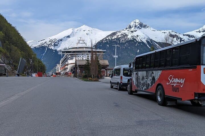Yukon Husky Puppy Play Time & Summit Tour: Discover Skagway’s Sled Dog Legacy photo 5