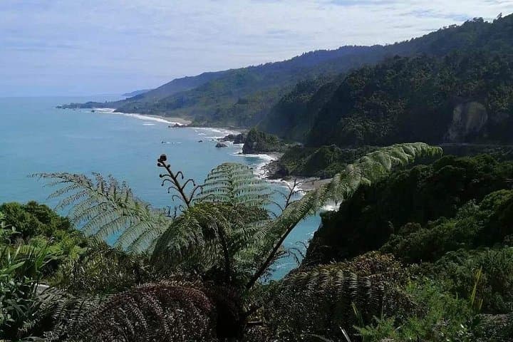 West Coast Scenic & Taste Tour from Greymouth — Pancake Rocks, Seal Colony, Breweries