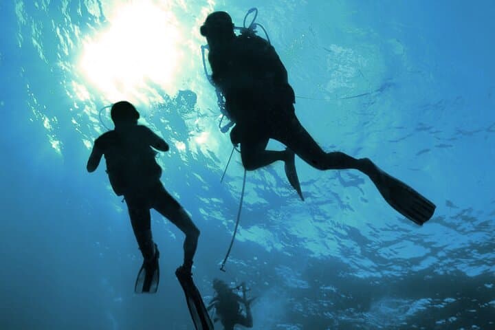 Private 2-Hour Scuba Dive at Qantab Beach, Muscat — Shore Reefs & Easy Dives photo 5