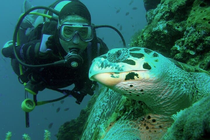 Private Scuba & Snorkel Day Trips to Daymaniyat from Muscat photo 3