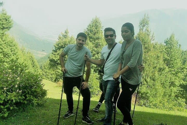 Mohanmarg Meadow Full-Day Trek: Pine-Forest Hike Above Sind Valley photo 4