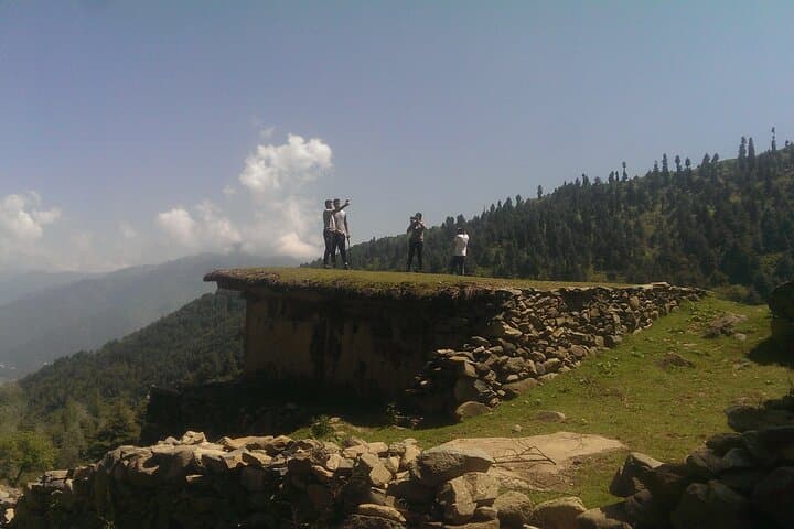 Mohanmarg Meadow Full-Day Trek: Pine-Forest Hike Above Sind Valley photo 5