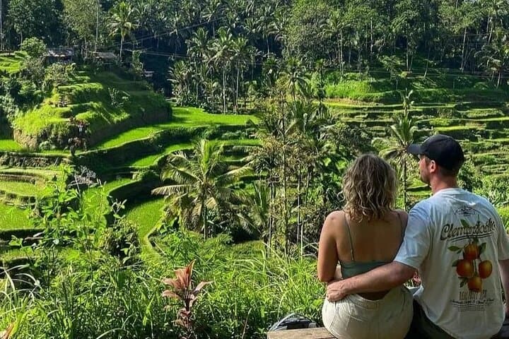 All-Inclusive Ubud Day Tour: Monkey Forest, Tegalalang & Tegenungan Waterfall