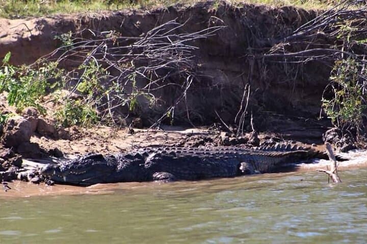 Chobe Day Trip from Livingstone — Big Five River Safari on the Chobe photo 6