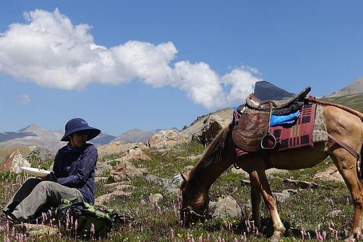 Kolahoi Glacier Trek: 6-Day High-Altitude Crossing from Sonamarg to Lidder Valley photo 4