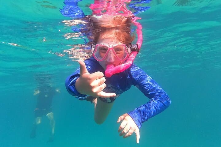Half-Day Private Charter: Snorkel La Famille Shipwreck & Iguana Island, Turks and Caicos photo 5