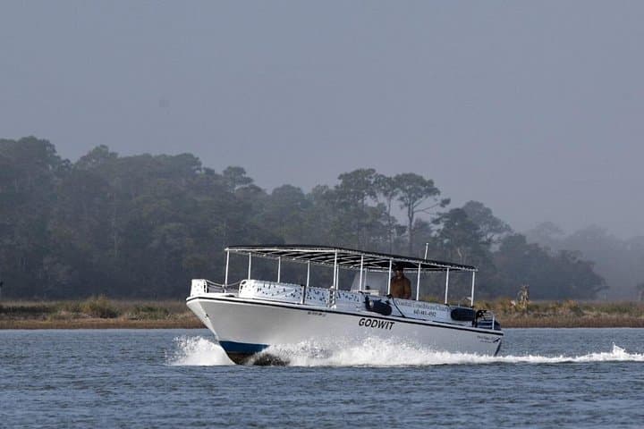 Beaufort Land & Sea: Historic Bus and Dolphin Cruise Combo