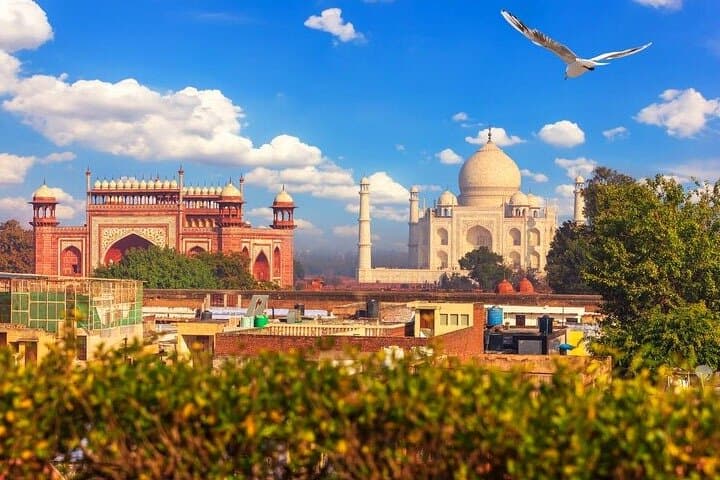 Taj Mahal Day Tour from Delhi — Taj Mahal, Agra Fort & Mehtab Bagh in One Day photo 4