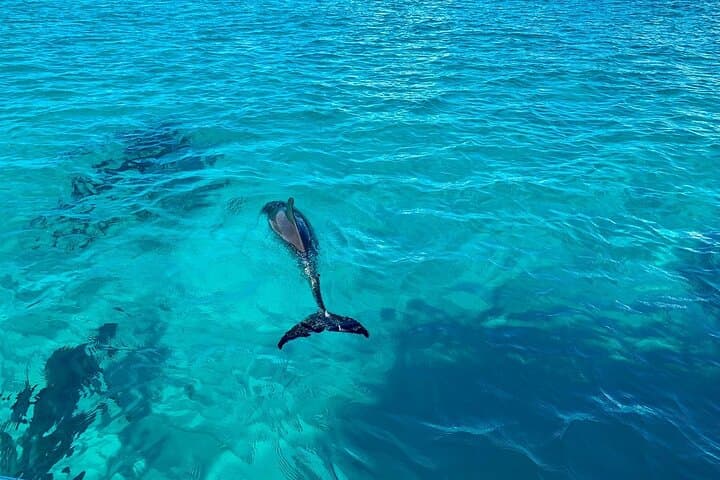Grace Bay Private 2-Hour Charter: Snorkel Shipwrecks & Little Water Cay photo 5