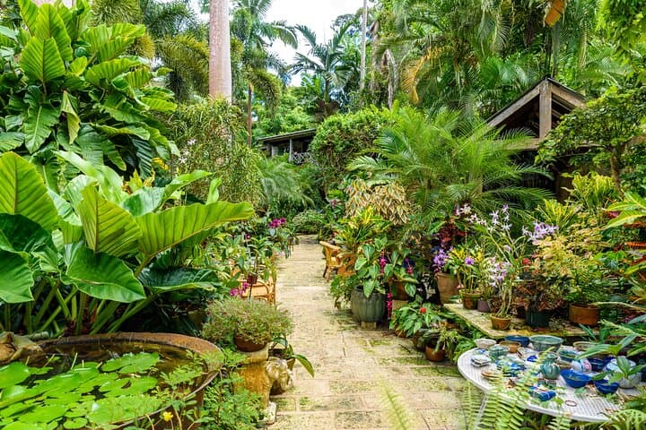 Tram Through Limestone and Lush Gulley: Harrison's Cave & Hunte's Gardens, Barbados photo 3