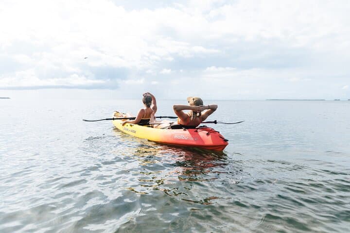 Exploring Key West’s Mangroves and Reefs: Kayak, Snorkel & Sail with Honest Eco photo 3