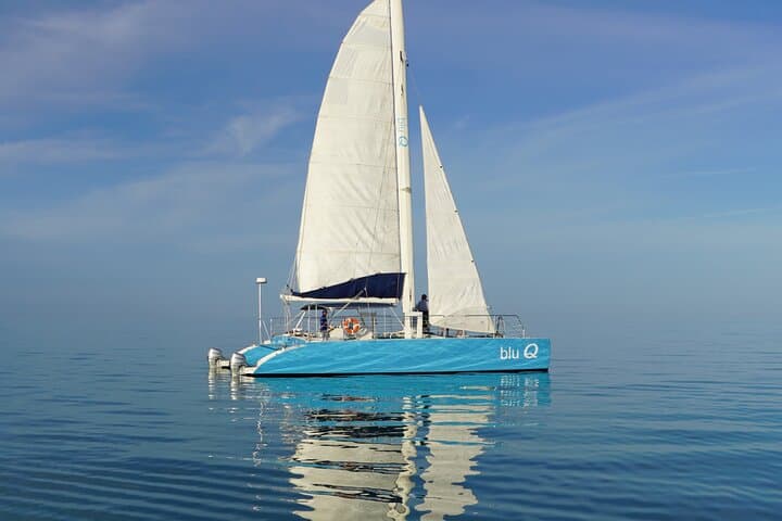 Key West Dolphin Watch & Sunset Sail Aboard a 42-Foot Catamaran photo 4