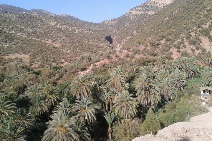 Paradise Valley Day Trip from Agadir — Palm Groves, Pools & Berber Breakfast photo 4